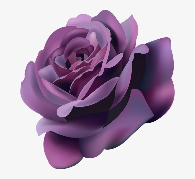 Png Roses - Violet Roses Png, transparent png #14043