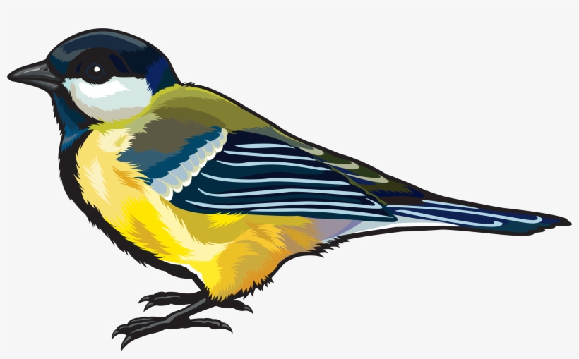 Hd Clipart Png Birds, transparent png #14086