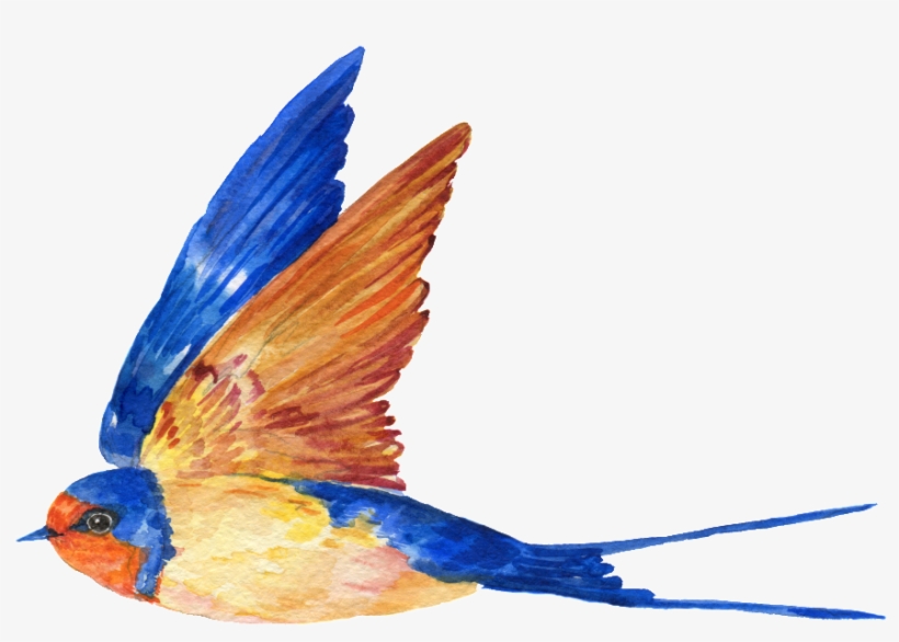 This Graphics Is Hand Painted A Free Flying Bird Png - Transparent Blue Bird Png, transparent png #14217