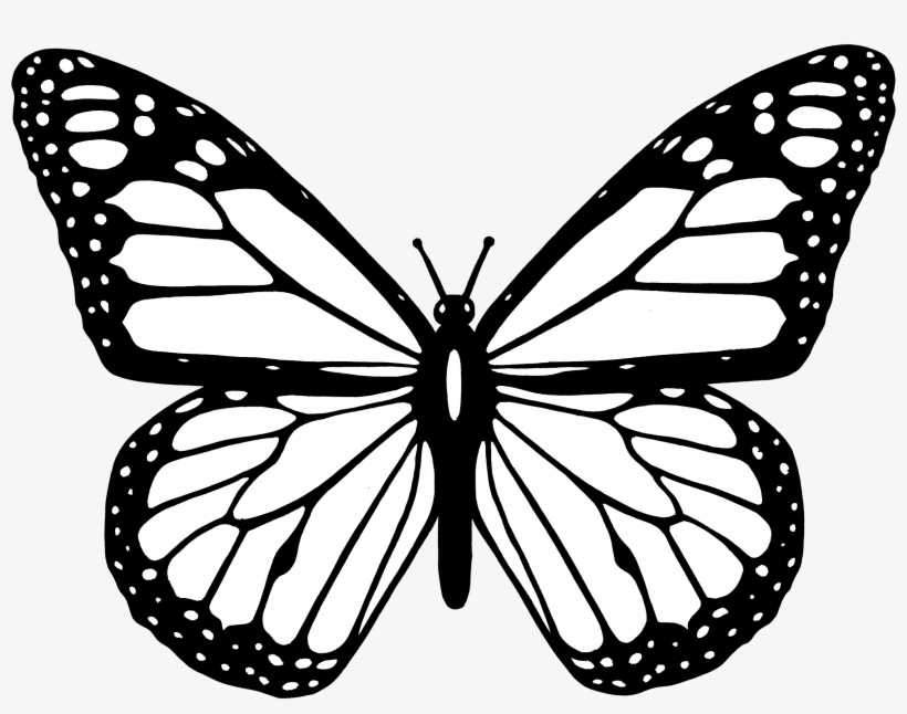 Butterfly Black And White Clipart Butterfly Png - Butterfly Clipart Black And White, transparent png #14273