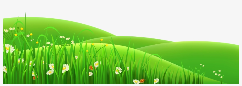 Grass Clip Art Png, transparent png #14275