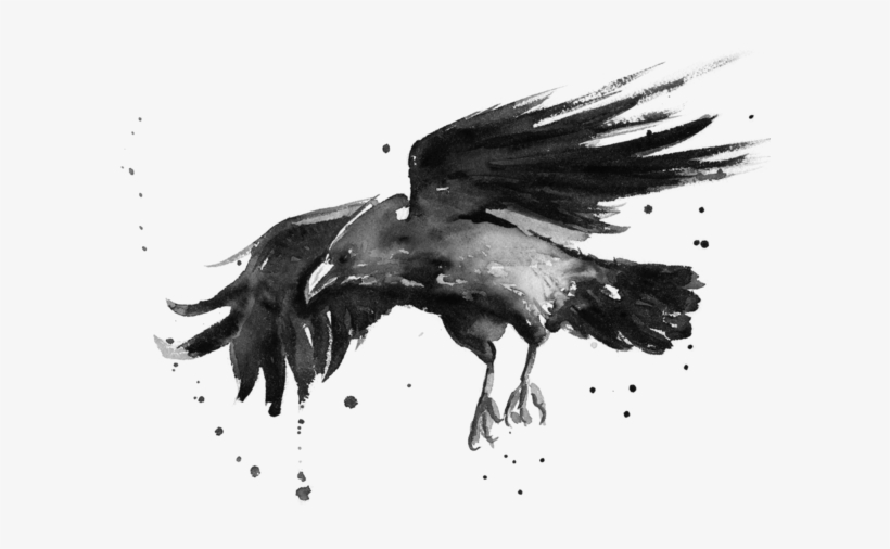 Flying Raven Watercolor Olga Shvartsur Transparent - Watercolor Raven, transparent png #14440