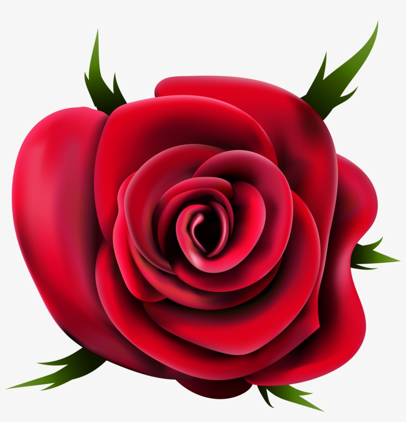 Rose Png, transparent png #14459