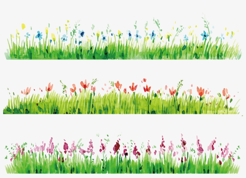 Watercolor Painting Flower Photography - Grass And Flowers Painting, transparent png #14621