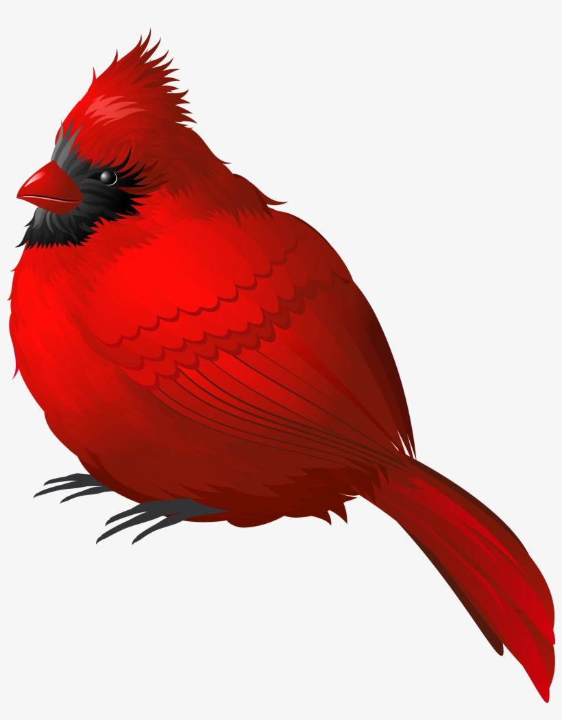 Red Winter Bird Png Clipart Image - Cardinal Png, transparent png #14663