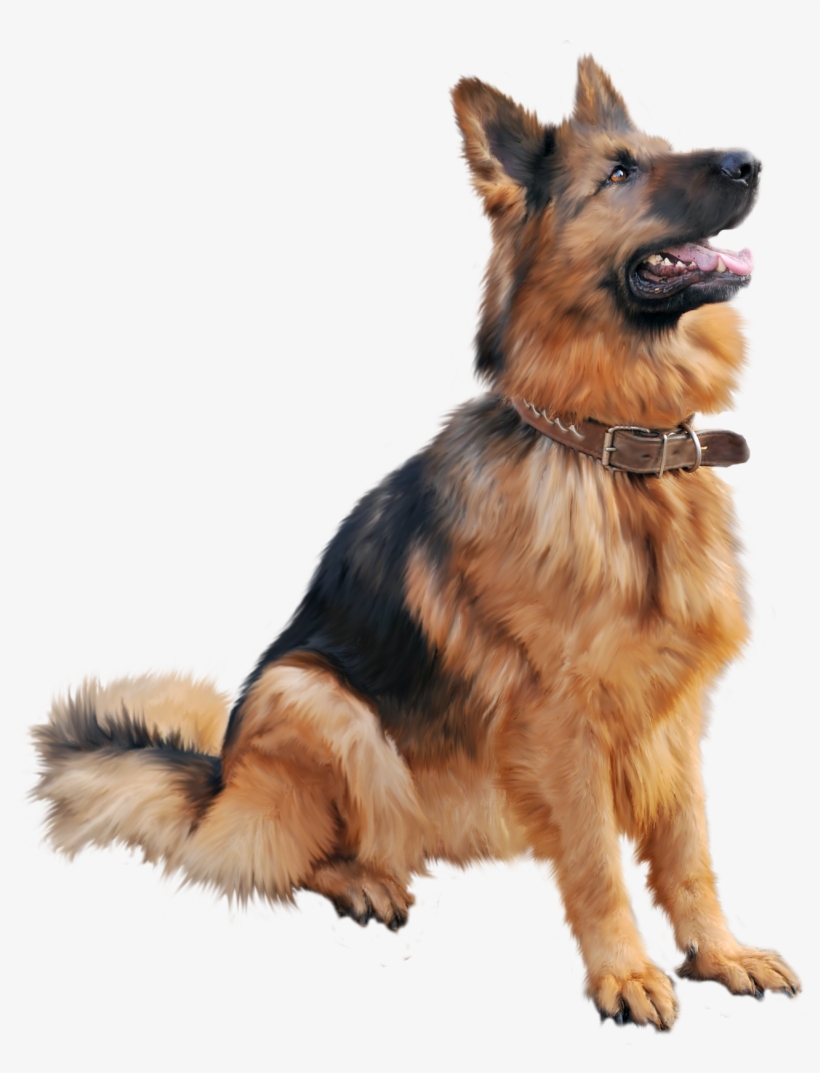 Congratulations On Your New Pet Investing The Time, transparent png #14682