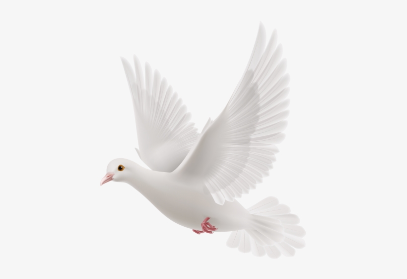 Banner Black And White Library Bells Clipart Dove Png - White Dove Flying Png, transparent png #14932
