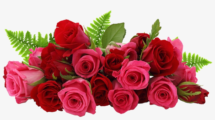 Rose Png - Rose Png Image Hd, transparent png #14950