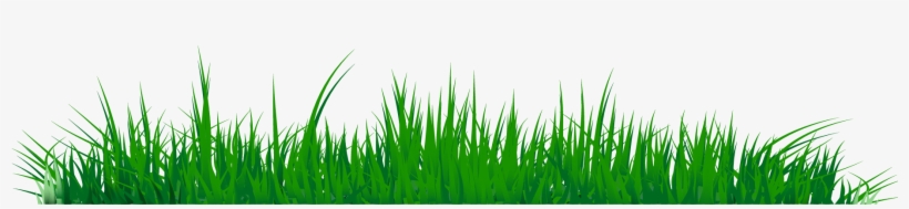 Grass Clipart Png Image 07 - Grass Clip Art Of Png, transparent png #14973