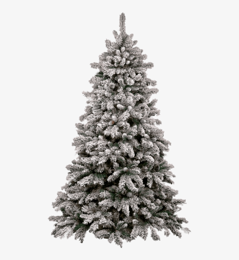 Christmas Tree Snow - Transparent Christmas Tree Png, transparent png #15031