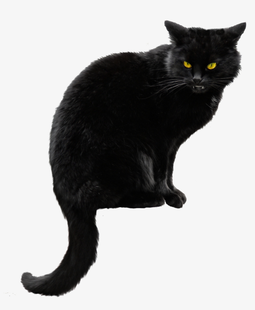 Black Cat Png File - Black Cat Png, transparent png #15264