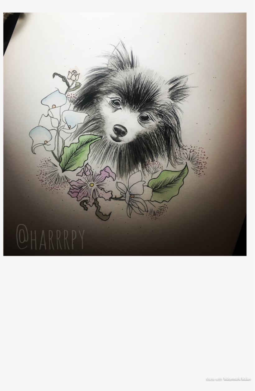 Custom Dog Watercolor Portrait - Chinese Crested Dog, transparent png #15498