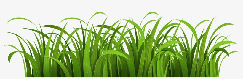 Cartoon Grass Transparent Background, transparent png #15521