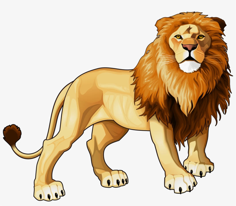 Lion Png Clipart - Lion Clipart, transparent png #15545