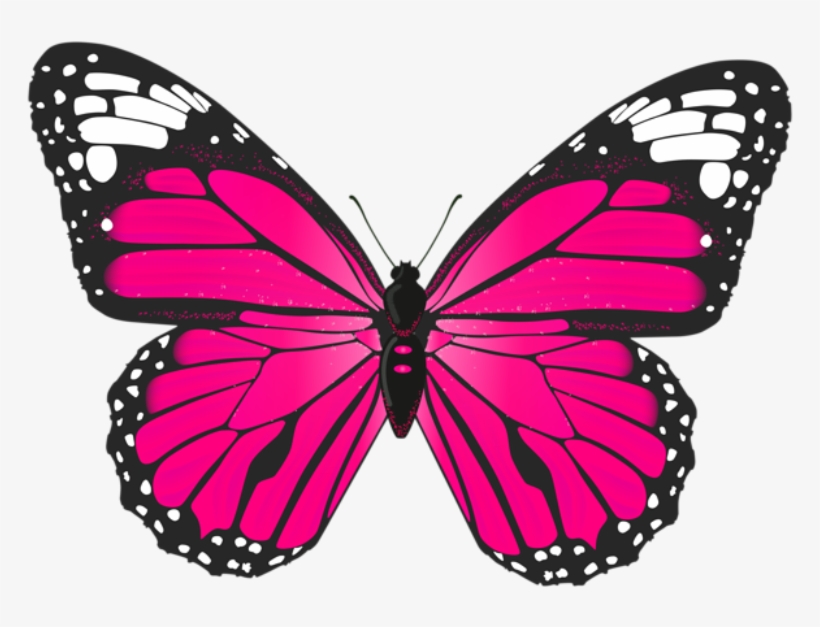 Butterfly Png Image Jpg Royalty Free Download - Butterfly Pink Clip Art, transparent png #15661