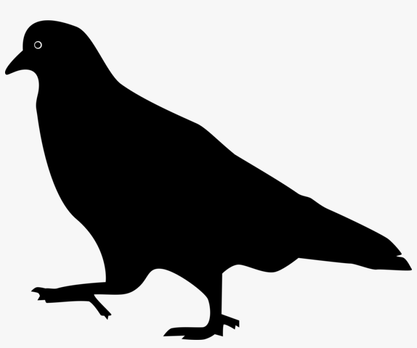Dove - Silhouette Pigeon, transparent png #15680