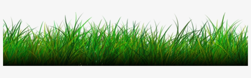 Grass Png Image - Picsart Grass Png Hd, transparent png #15699