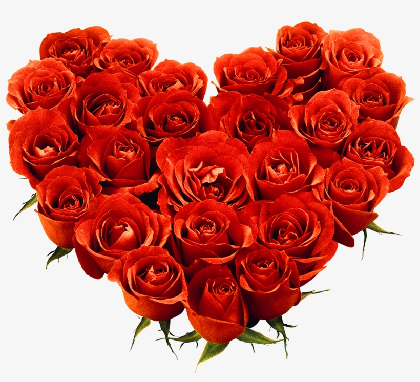Bunch Of Rose Png, transparent png #15860