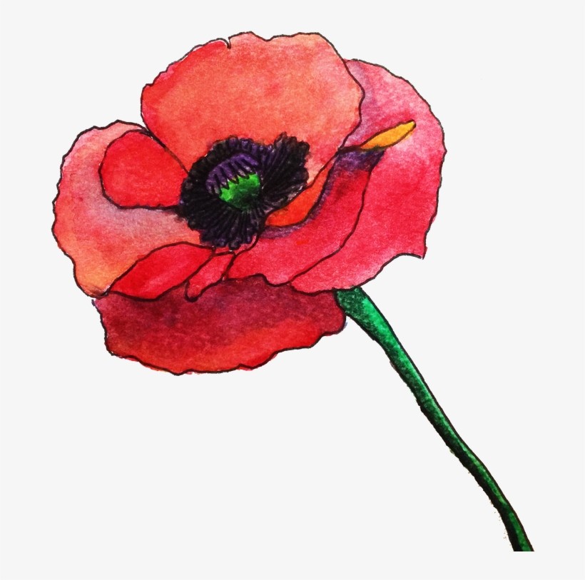 Picture - Watercolor Poppy Flower Png, transparent png #15981