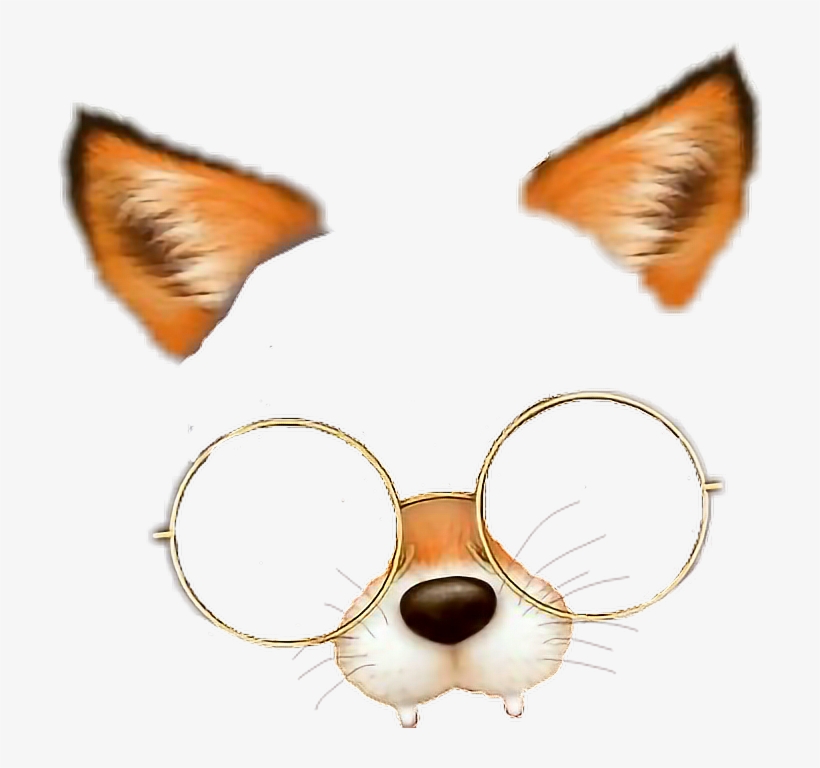 Fox Filtro Filtre Filtrodezorro Snow Png Filtrefox - Filtros De Snow Png, transparent png #15983