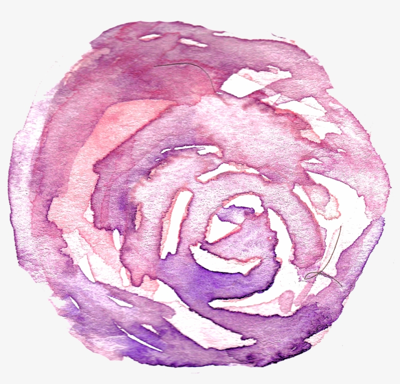 Watercolor Rose Flower - Separator Discord, transparent png #16021