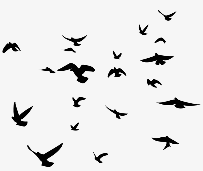 Free Png Birds Png Images Transparent - Black Birds Transparent Background, transparent png #16094