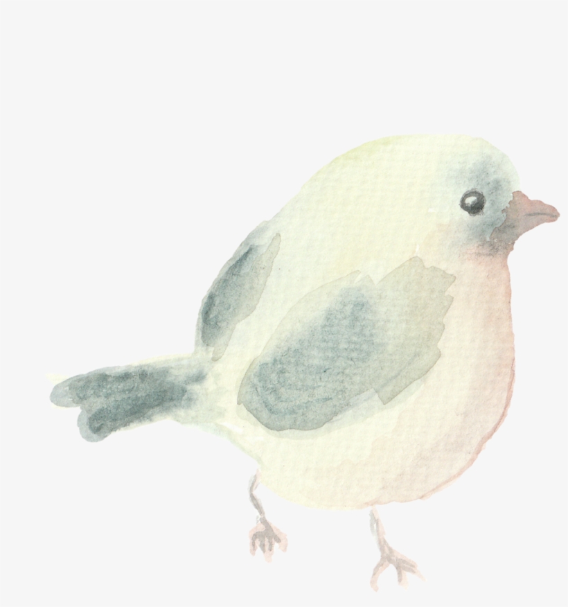 Bushtit, transparent png #16141