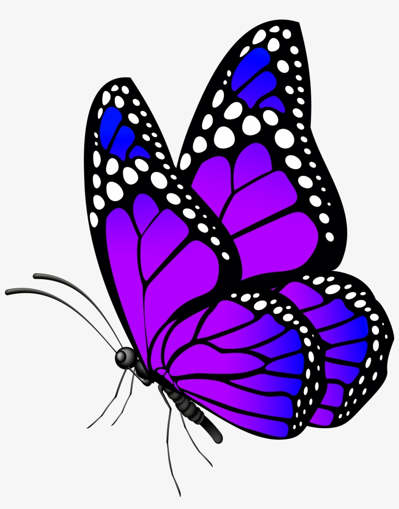 Jpg Purple Clip Art Image Gallery Yopriceville High, transparent png #16248