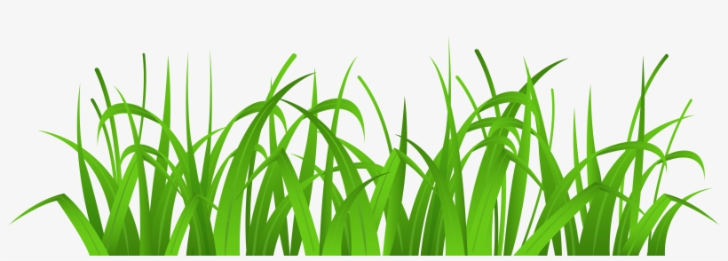 Grass Cover Png Clip Art - Clipart Grass, transparent png #16269