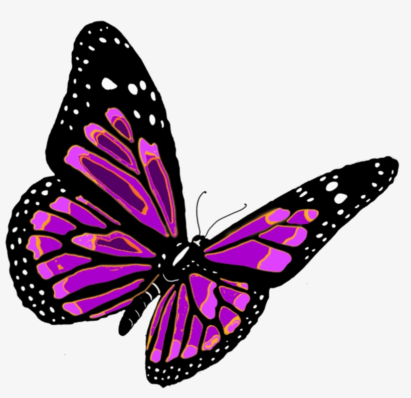 Butterfly Png, transparent png #16582