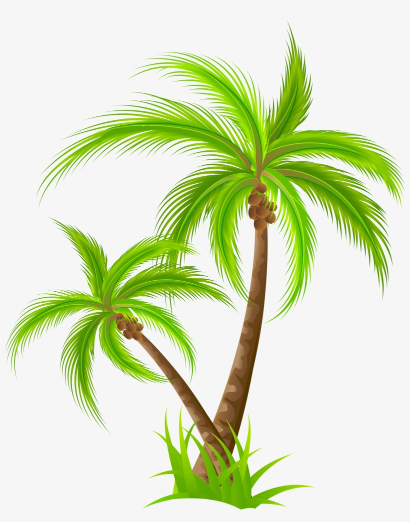 Palm Tree Png Clip Art - Onam Sadya Illustrator - Free Transparent PNG  Download - PNGkey