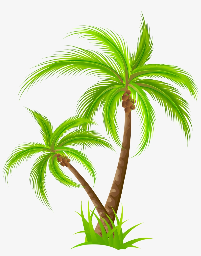 Palm Tree Png Clip Art - Onam Sadya Illustrator, transparent png #16672