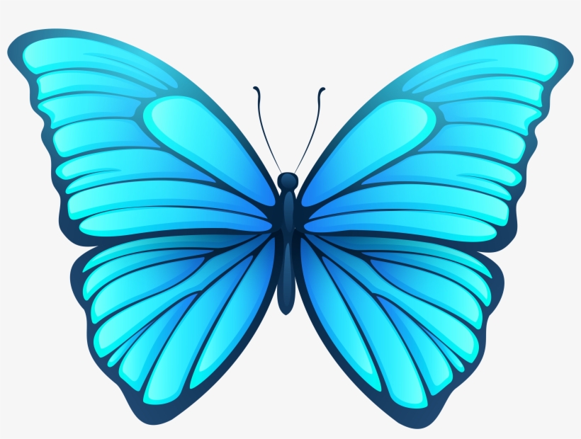 Butterfly Png, transparent png #16927