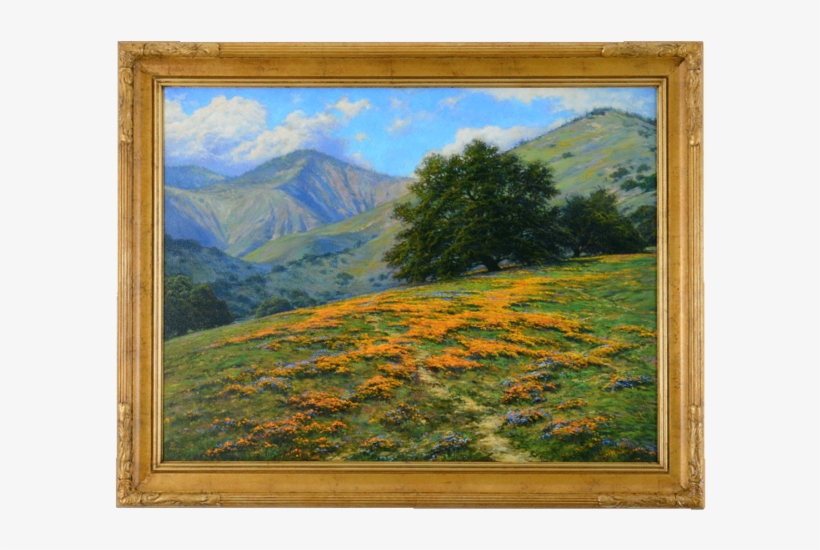 In Celebration, We'll Be Presenting Weekly Profiles - Picture Frame, transparent png #17024