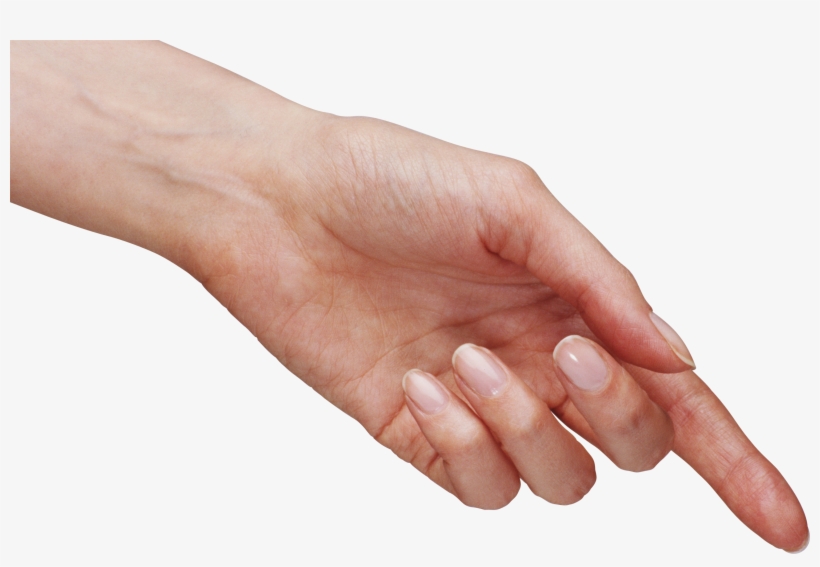 Hand Png, transparent png #17059