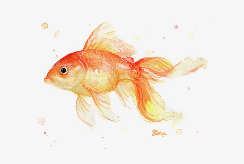 Goldfish Painting Watercolor Adult Pull - Goldfish Art, transparent png #17087