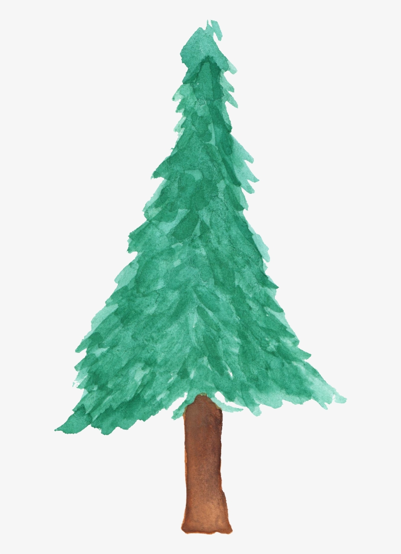 Pine Watercolor Png - Watercolor Christmas Tree Png, transparent png #17178