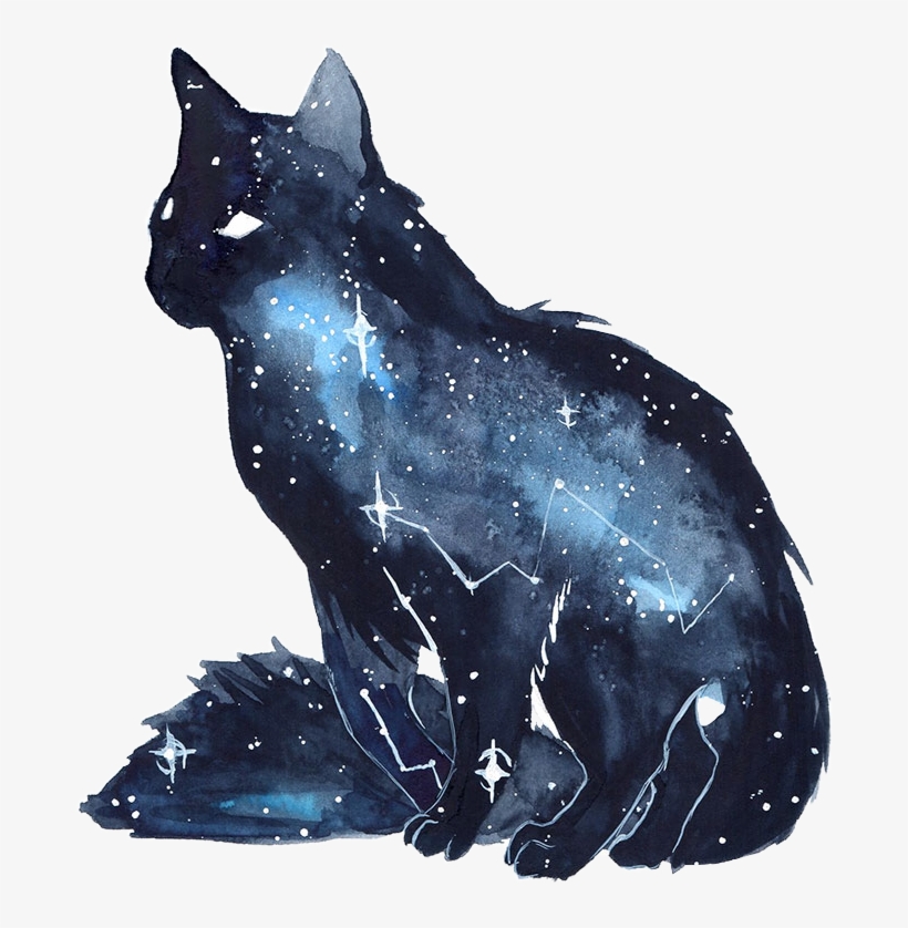 Cat Kitten Galaxy Watercolor Space Stars Freetoedit - Galaxy Animals, transparent png #17277