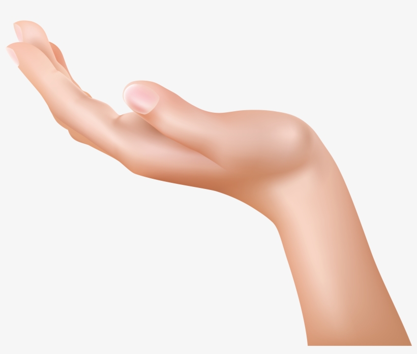 Hand Png, transparent png #17322