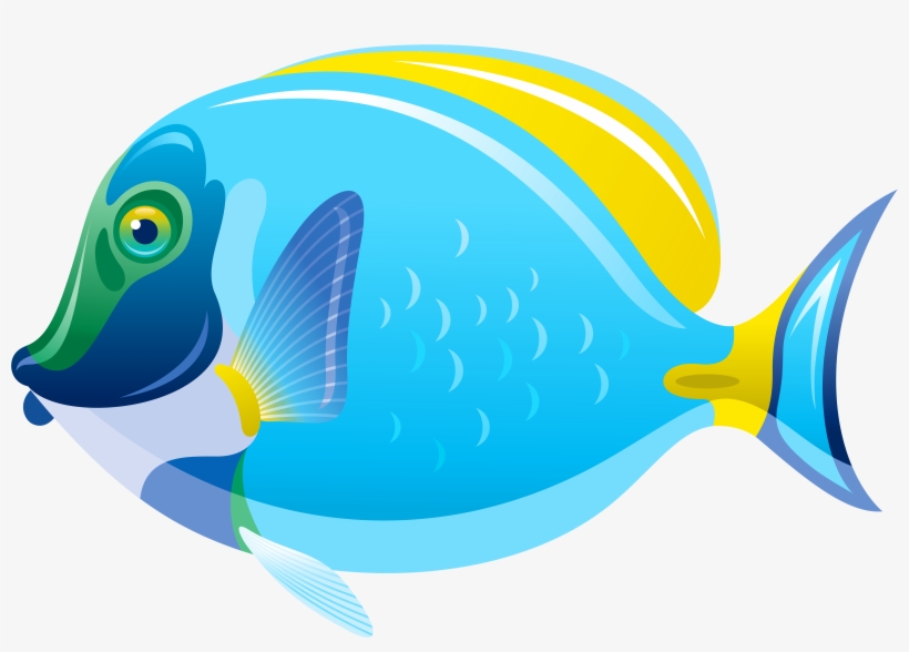 Fish Png Clip Art, transparent png #17452