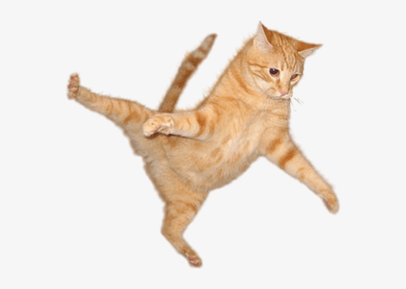 Cat Png Download Image - Cat Jump Png, transparent png #17564