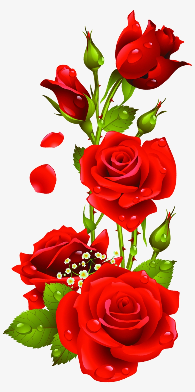 Rose Transparent Png Pictures, transparent png #17565