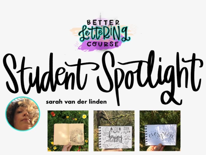 Svdl Student Spotlight Header - Turnip, transparent png #17786