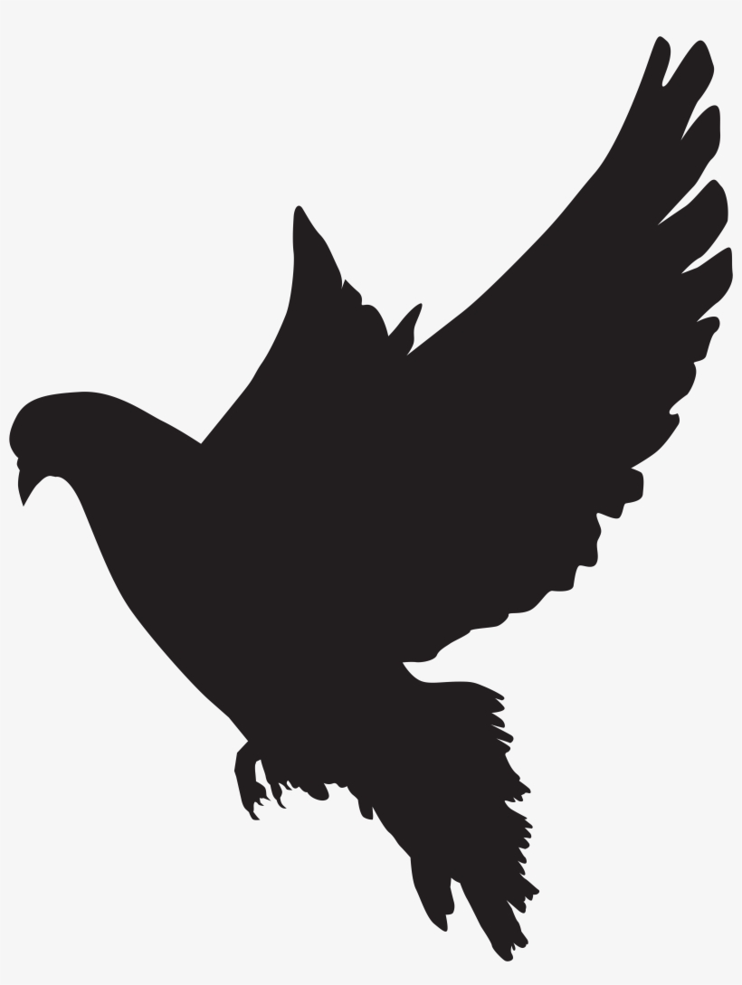 Dove Png, transparent png #18011