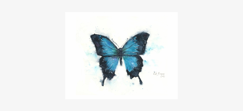 Lepidoptera, transparent png #18096