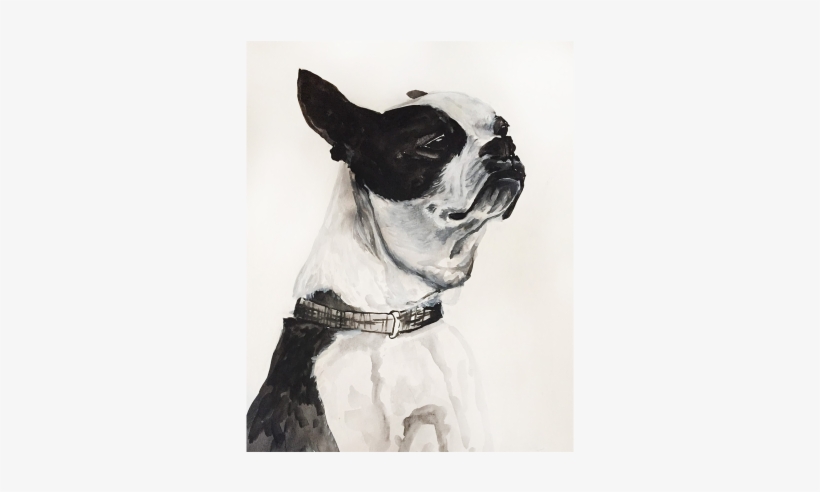 Chipper- 11" X 13" Ink / Watercolor - Watercolor Painting, transparent png #18290