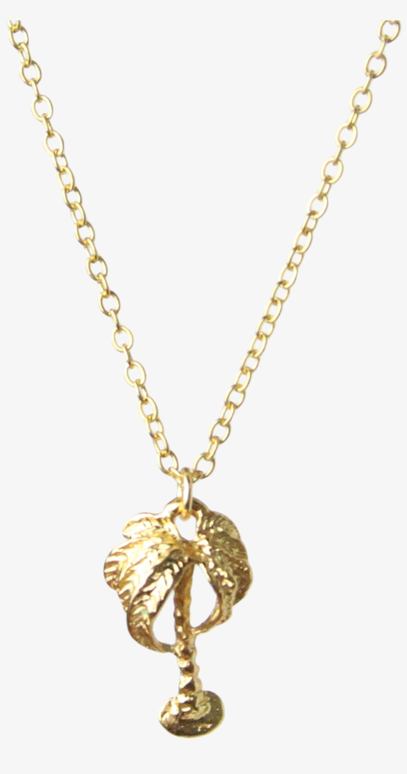 Mini Palm Tree Charm Necklace In Gold Vermeil - Collier Merci Maman Pierre, transparent png #18351