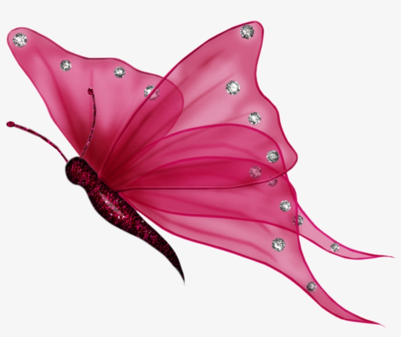 View Album On Yandex - Transparent Background Butterfly Clipart, transparent png #18372