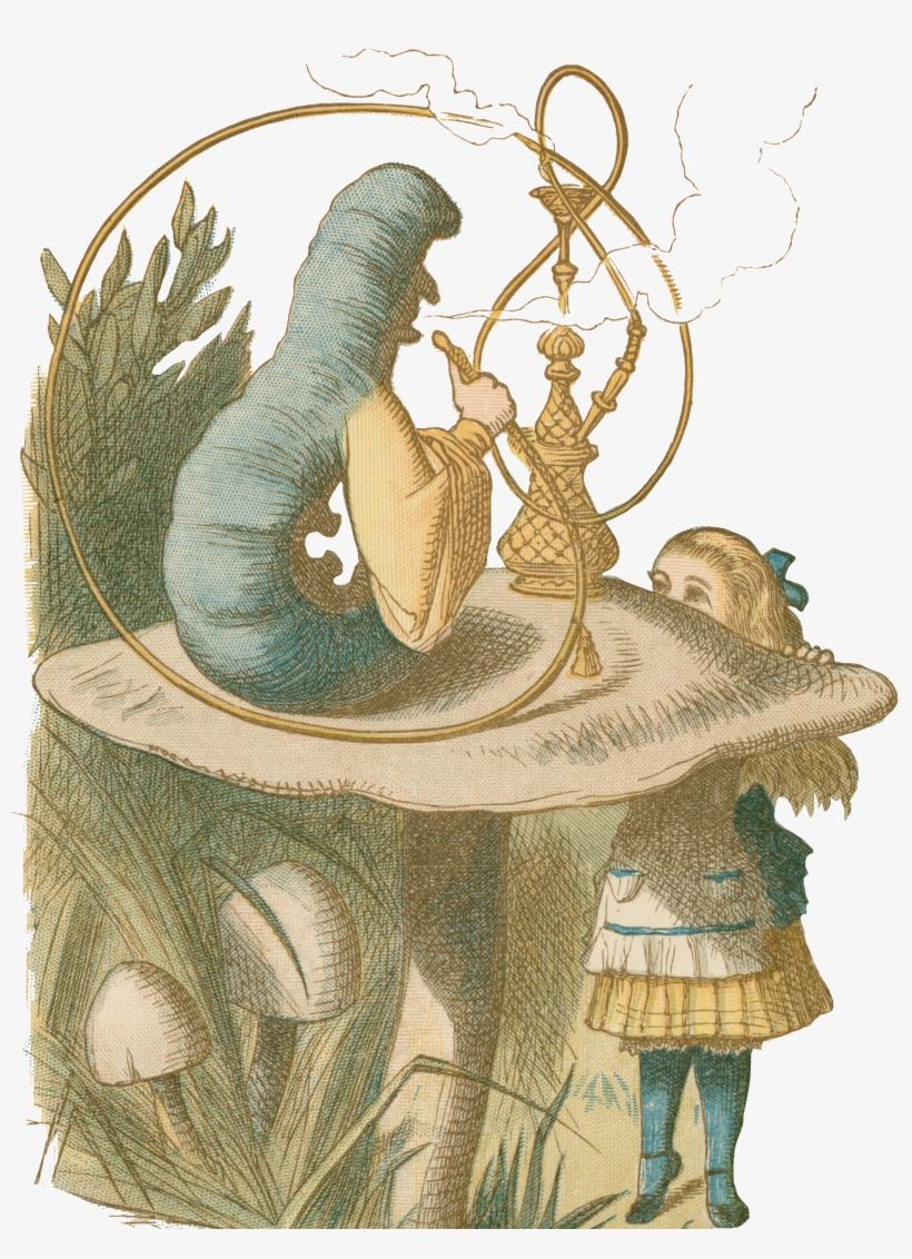 Spotlight On Wonderland, transparent png #18590