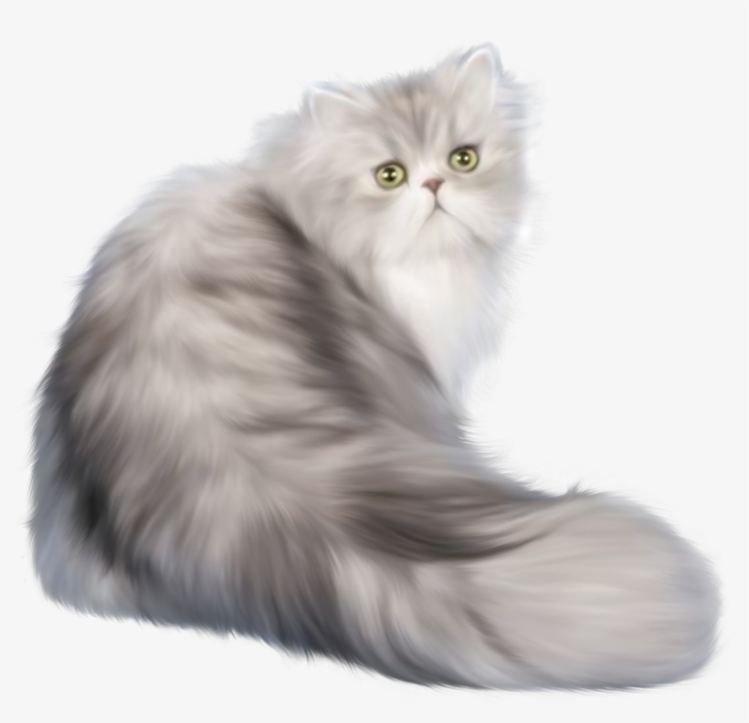 Cat Png Clip Art - Long Hair Cat Png, transparent png #18609